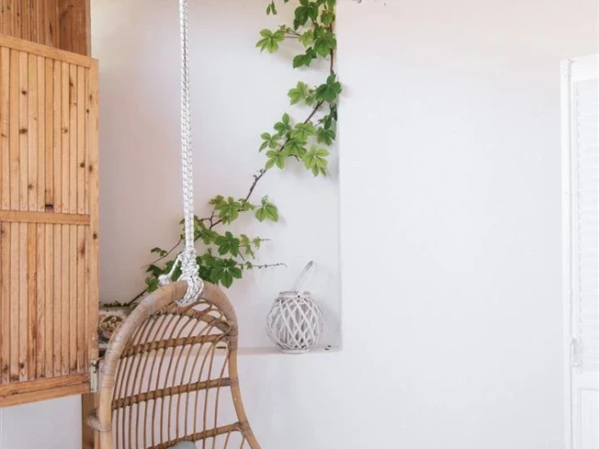 Elia Suite