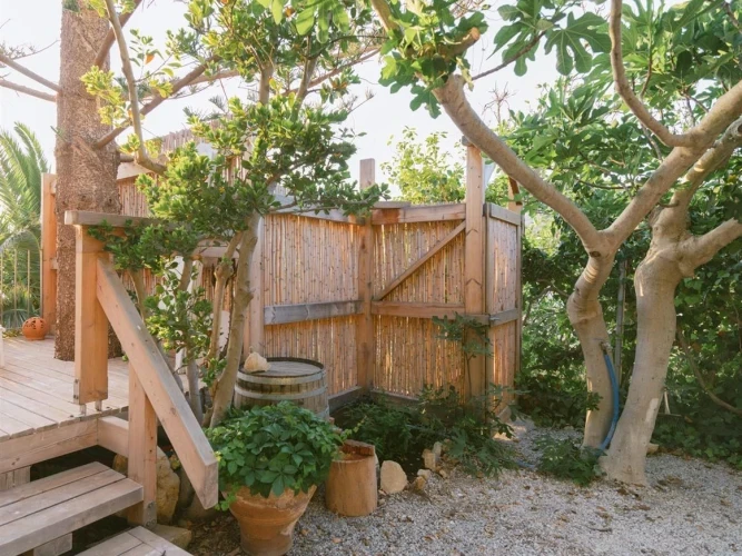 Dream Apartment