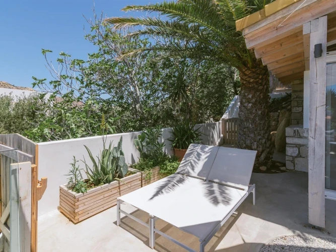 Nature Apartment