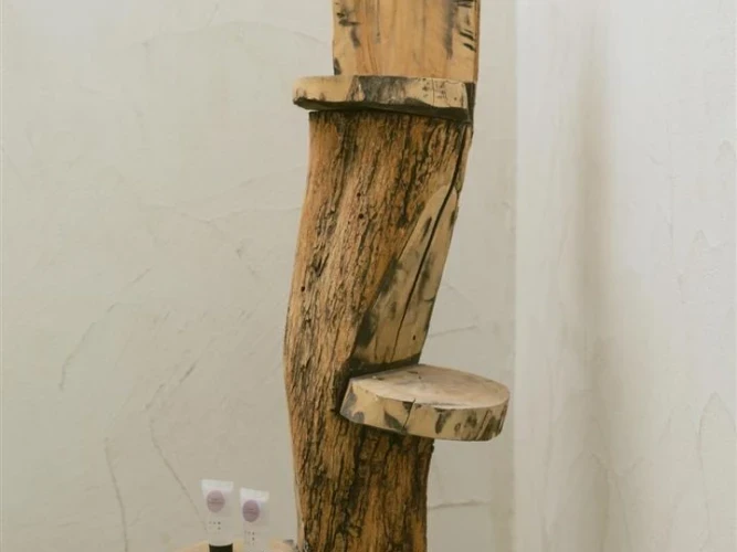 Nature Apartment