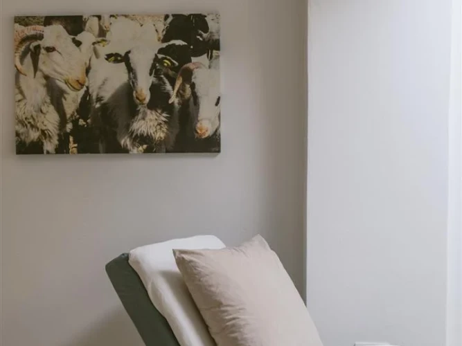 Nature Apartment
